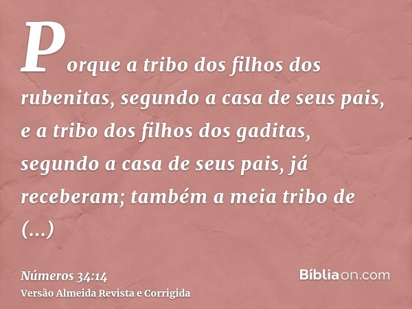Porque a tribo dos filhos dos rubenitas, segundo a casa de seus pais, e a tribo dos filhos dos gaditas, segundo a casa de seus pais, já receberam; também a meia