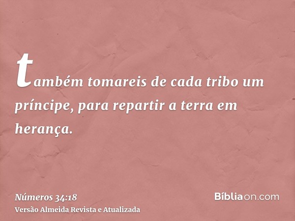 também tomareis de cada tribo um príncipe, para repartir a terra em herança.