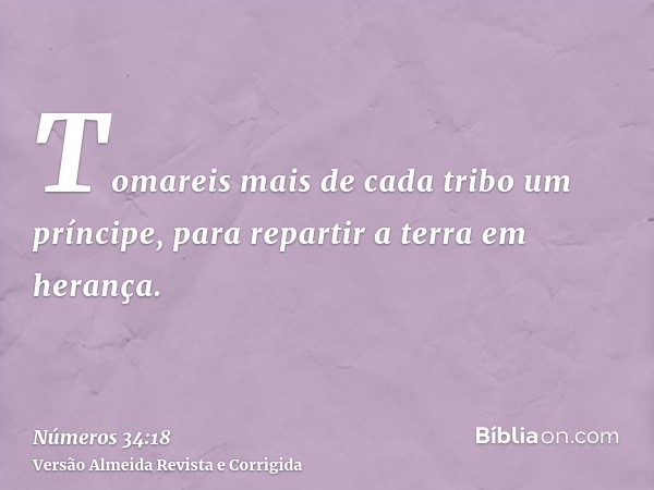 Tomareis mais de cada tribo um príncipe, para repartir a terra em herança.