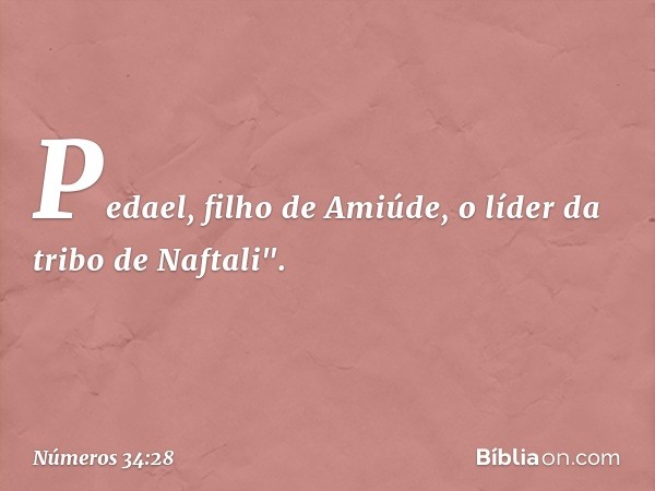 Pedael, filho de Amiúde,
o líder da tribo de Naftali". -- Números 34:28