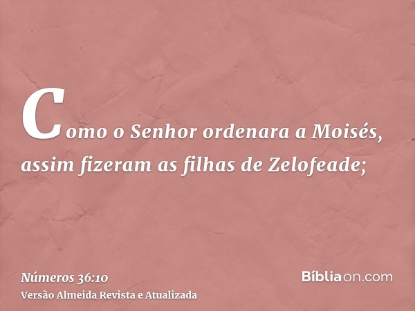 Como o Senhor ordenara a Moisés, assim fizeram as filhas de Zelofeade;