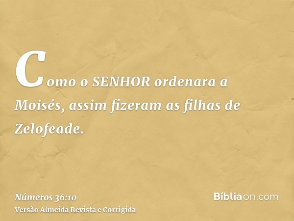 Como o SENHOR ordenara a Moisés, assim fizeram as filhas de Zelofeade.
