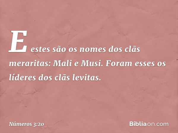 E estes são os nomes
dos clãs meraritas:
Mali e Musi.
Foram esses os líderes dos clãs levitas. -- Números 3:20