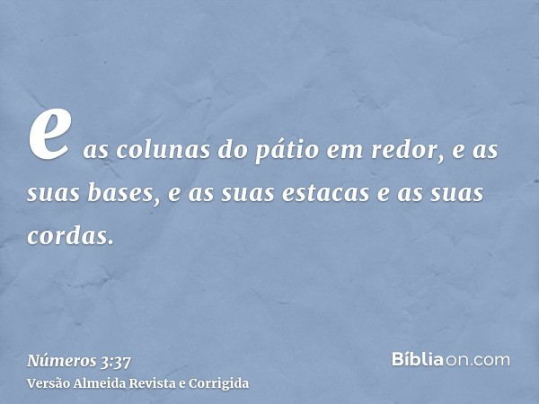 e as colunas do pátio em redor, e as suas bases, e as suas estacas e as suas cordas.