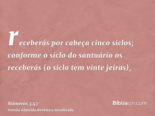 receberás por cabeça cinco siclos; conforme o siclo do santuário os receberás (o siclo tem vinte jeiras),