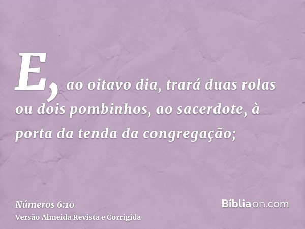 E, ao oitavo dia, trará duas rolas ou dois pombinhos, ao sacerdote, à porta da tenda da congregação;