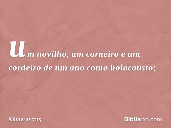 um novilho, um carneiro e um cordeiro de um ano como holocausto; -- Números 7:15