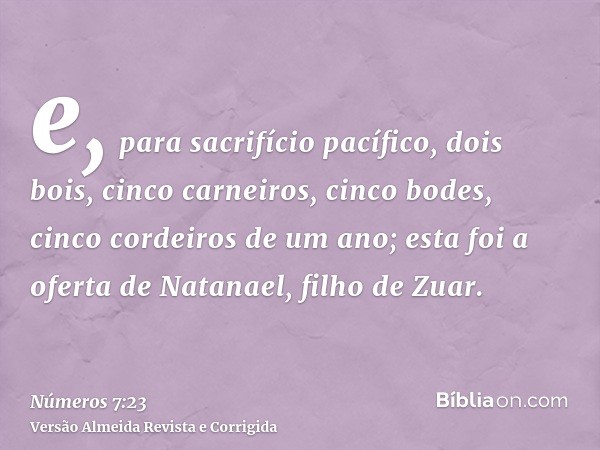 e, para sacrifício pacífico, dois bois, cinco carneiros, cinco bodes, cinco cordeiros de um ano; esta foi a oferta de Natanael, filho de Zuar.