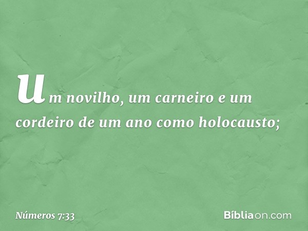 um novilho, um carneiro e um cordeiro de um ano como holocausto; -- Números 7:33