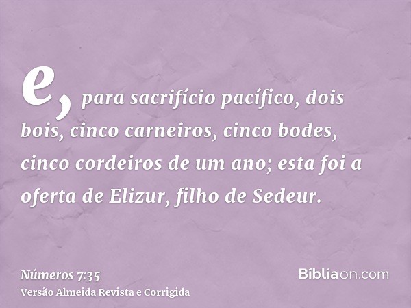 e, para sacrifício pacífico, dois bois, cinco carneiros, cinco bodes, cinco cordeiros de um ano; esta foi a oferta de Elizur, filho de Sedeur.