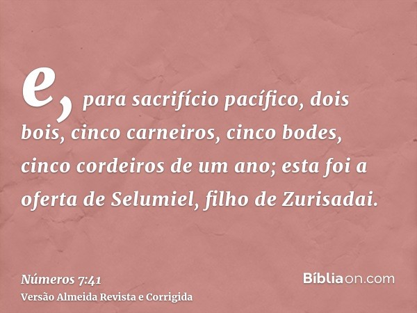 e, para sacrifício pacífico, dois bois, cinco carneiros, cinco bodes, cinco cordeiros de um ano; esta foi a oferta de Selumiel, filho de Zurisadai.