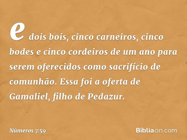 e dois bois, cinco carneiros, cinco bodes e cinco cordeiros de um ano para serem oferecidos como sacrifício de comunhão. Essa foi a oferta de Gamaliel, filho de