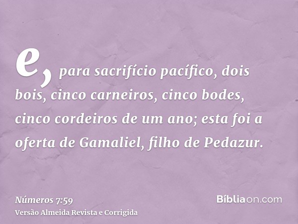 e, para sacrifício pacífico, dois bois, cinco carneiros, cinco bodes, cinco cordeiros de um ano; esta foi a oferta de Gamaliel, filho de Pedazur.