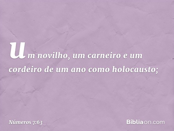 um novilho, um carneiro e um cordeiro de um ano como holocausto; -- Números 7:63