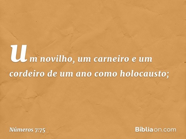 um novilho, um carneiro e um cordeiro de um ano como holocausto; -- Números 7:75