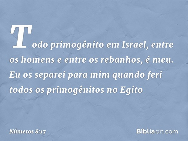 Todo primogênito em Israel, entre os homens e entre os rebanhos, é meu. Eu os separei para mim quando feri todos os primogênitos no Egito -- Números 8:17