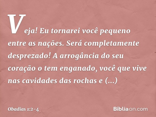 "Veja! Eu tornarei você pequeno entre as
nações.
Será completamente desprezado! A arrogância do seu coração o tem
enganado,
você que vive nas cavidades das roch