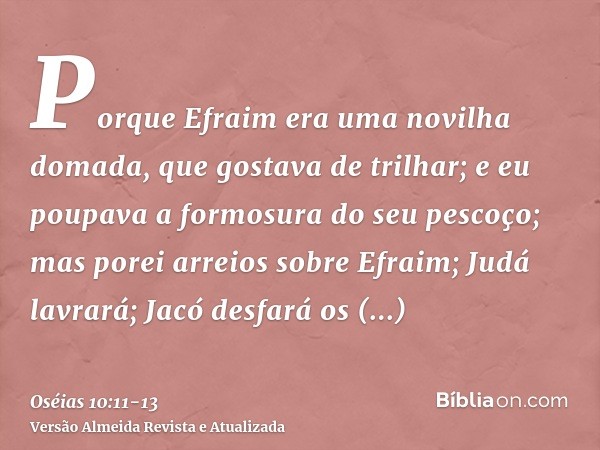 Porque Efraim era uma novilha domada, que gostava de trilhar; e eu poupava a formosura do seu pescoço; mas porei arreios sobre Efraim; Judá lavrará; Jacó desfar