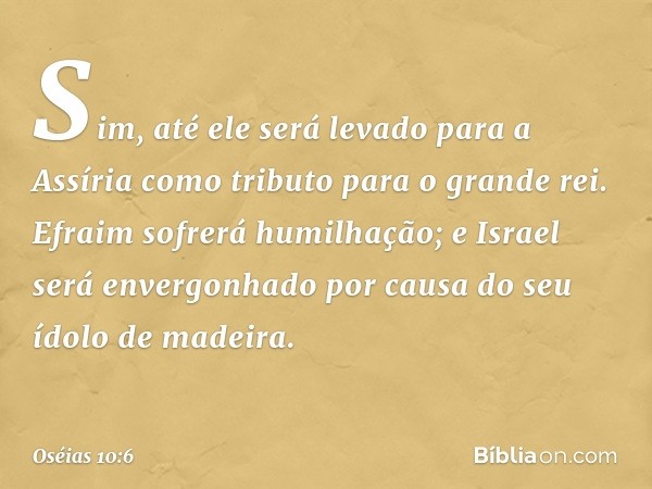 Sim, até ele será levado para a Assíria
como tributo para o grande rei.
Efraim sofrerá humilhação;
e Israel será envergonhado
por causa do seu ídolo de madeira.