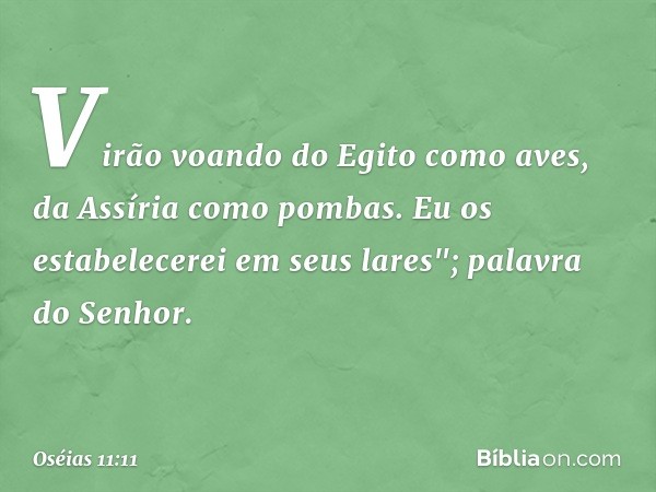 Virão voando do Egito como aves,
da Assíria como pombas.
Eu os estabelecerei em seus lares";
palavra do Senhor. -- Oséias 11:11