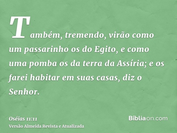 Também, tremendo, virão como um passarinho os do Egito, e como uma pomba os da terra da Assíria; e os farei habitar em suas casas, diz o Senhor.