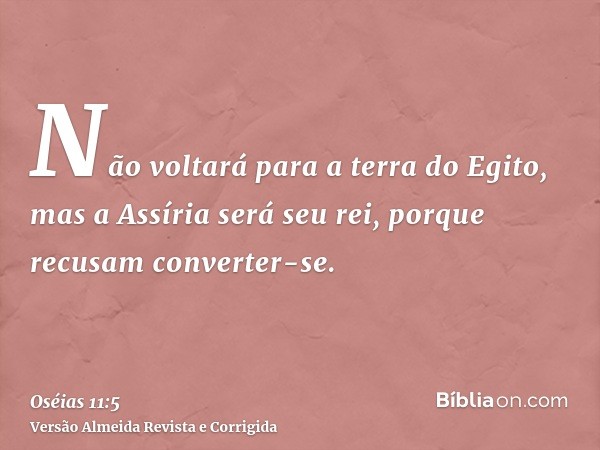 Não voltará para a terra do Egito, mas a Assíria será seu rei, porque recusam converter-se.