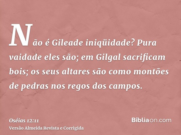 Não é Gileade iniqüidade? Pura vaidade eles são; em Gilgal sacrificam bois; os seus altares são como montões de pedras nos regos dos campos.