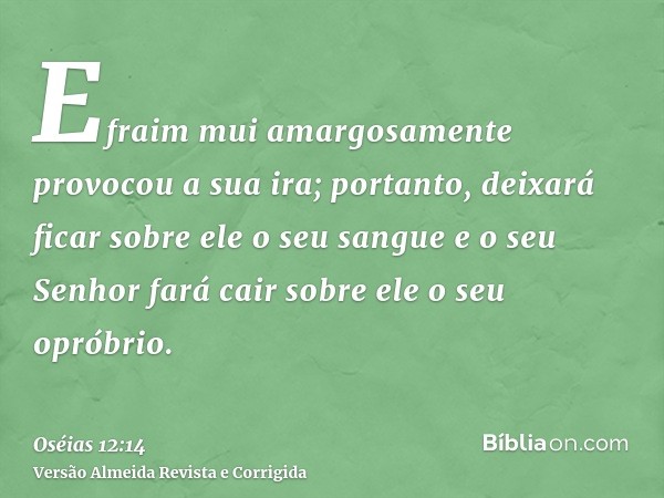 Efraim mui amargosamente provocou a sua ira; portanto, deixará ficar sobre ele o seu sangue e o seu Senhor fará cair sobre ele o seu opróbrio.