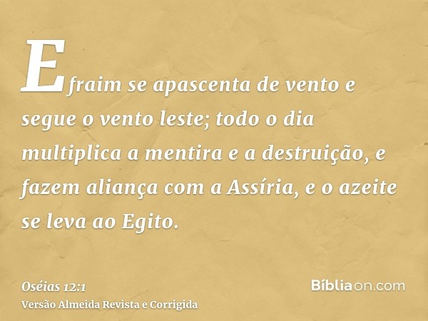 Efraim se apascenta de vento e segue o vento leste; todo o dia multiplica a mentira e a destruição, e fazem aliança com a Assíria, e o azeite se leva ao Egito.