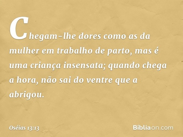 Chegam-lhe dores como as da mulher
em trabalho de parto,
mas é uma criança insensata;
quando chega a hora,
não sai do ventre que a abrigou. -- Oséias 13:13