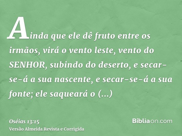 Ainda que ele dê fruto entre os irmãos, virá o vento leste, vento do SENHOR, subindo do deserto, e secar-se-á a sua nascente, e secar-se-á a sua fonte; ele saqu
