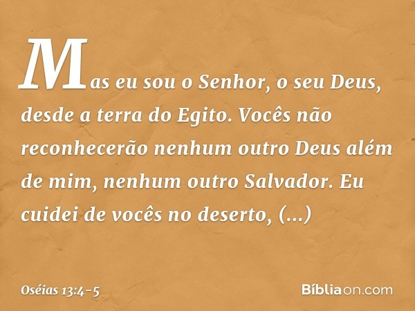 "Mas eu sou o Senhor, o seu Deus,
desde a terra do Egito.
Vocês não reconhecerão
nenhum outro Deus além de mim,
nenhum outro Salvador. Eu cuidei de vocês no des