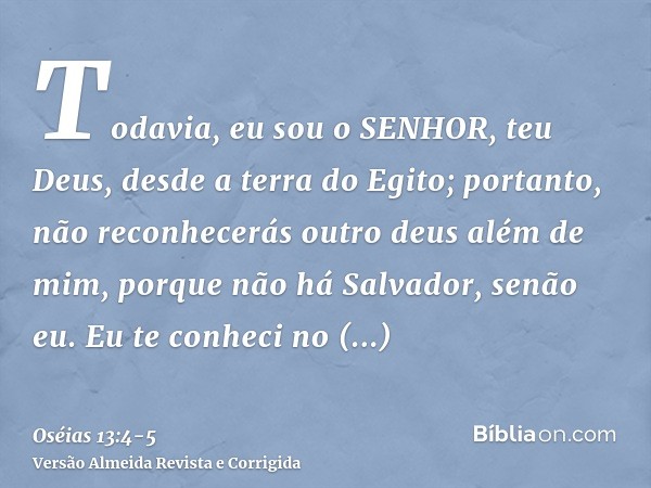 Todavia, eu sou o SENHOR, teu Deus, desde a terra do Egito; portanto, não reconhecerás outro deus além de mim, porque não há Salvador, senão eu.Eu te conheci no