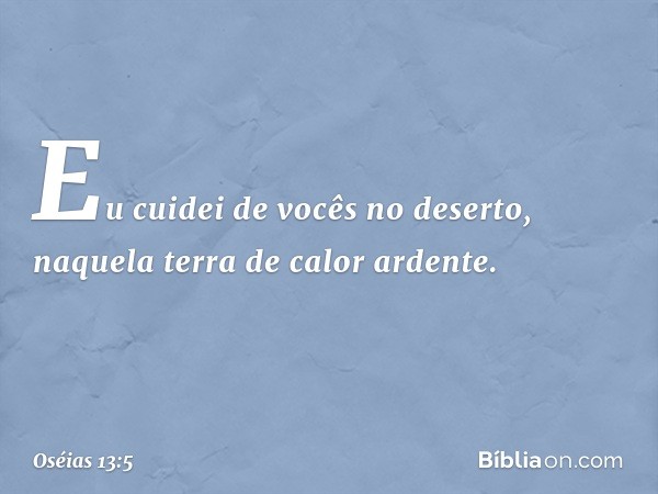 Eu cuidei de vocês no deserto,
naquela terra de calor ardente. -- Oséias 13:5