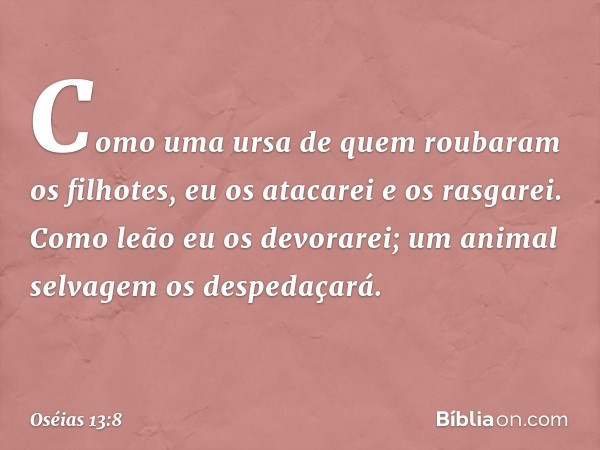 Como uma ursa
de quem roubaram os filhotes,
eu os atacarei e os rasgarei.
Como leão eu os devorarei;
um animal selvagem os despedaçará. -- Oséias 13:8