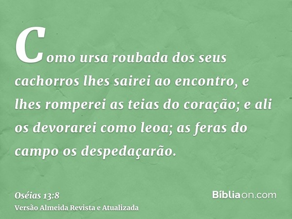 Como ursa roubada dos seus cachorros lhes sairei ao encontro, e lhes romperei as teias do coração; e ali os devorarei como leoa; as feras do campo os despedaçar