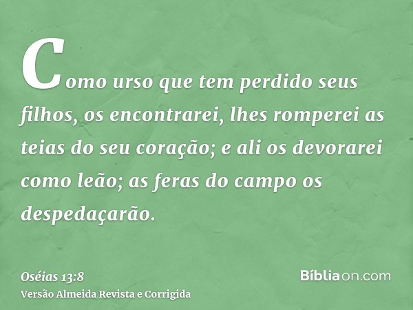 Como urso que tem perdido seus filhos, os encontrarei, lhes romperei as teias do seu coração; e ali os devorarei como leão; as feras do campo os despedaçarão.