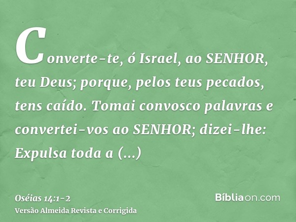 Converte-te, ó Israel, ao SENHOR, teu Deus; porque, pelos teus pecados, tens caído.Tomai convosco palavras e convertei-vos ao SENHOR; dizei-lhe: Expulsa toda a 