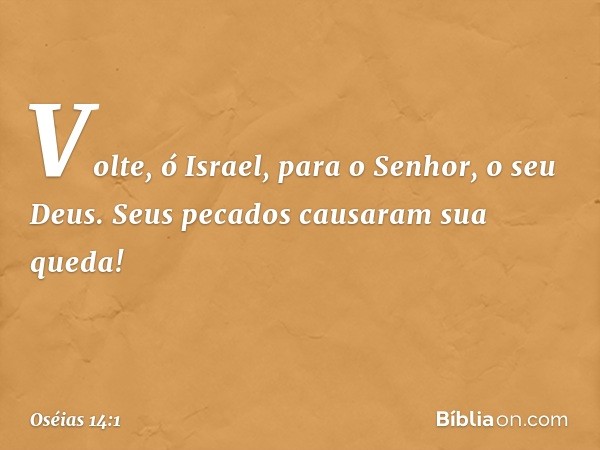 Volte, ó Israel,
para o Senhor, o seu Deus.
Seus pecados causaram sua queda! -- Oséias 14:1