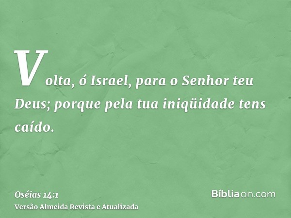 Volta, ó Israel, para o Senhor teu Deus; porque pela tua iniqüidade tens caído.