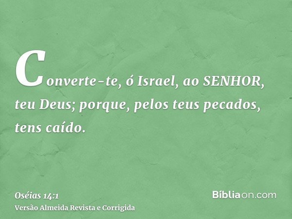 Converte-te, ó Israel, ao SENHOR, teu Deus; porque, pelos teus pecados, tens caído.