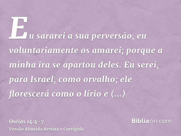 Eu sararei a sua perversão, eu voluntariamente os amarei; porque a minha ira se apartou deles.Eu serei, para Israel, como orvalho; ele florescerá como o lírio e