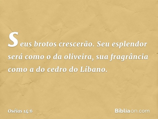 seus brotos crescerão.
Seu esplendor será como o da oliveira,
sua fragrância
como a do cedro do Líbano. -- Oséias 14:6