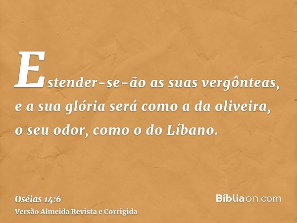 Estender-se-ão as suas vergônteas, e a sua glória será como a da oliveira, o seu odor, como o do Líbano.