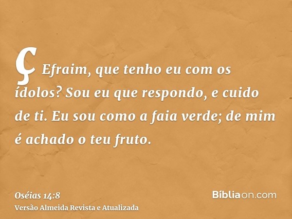 ç Efraim, que tenho eu com os ídolos? Sou eu que respondo, e cuido de ti. Eu sou como a faia verde; de mim é achado o teu fruto.