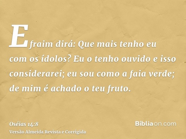 Efraim dirá: Que mais tenho eu com os ídolos? Eu o tenho ouvido e isso considerarei; eu sou como a faia verde; de mim é achado o teu fruto.