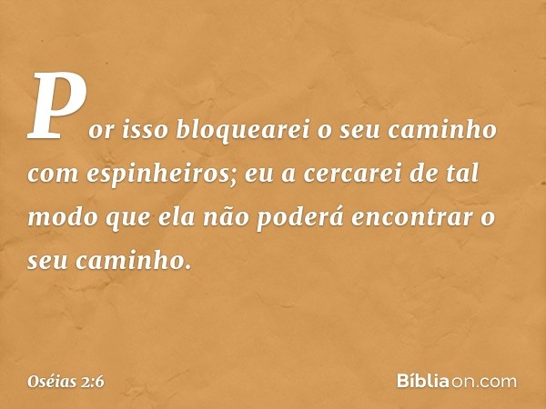 Por isso bloquearei o seu caminho
com espinheiros;
eu a cercarei de tal modo
que ela não poderá encontrar
o seu caminho. -- Oséias 2:6