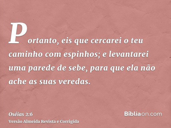Portanto, eis que cercarei o teu caminho com espinhos; e levantarei uma parede de sebe, para que ela não ache as suas veredas.