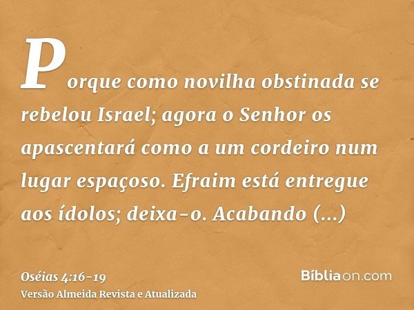 Porque como novilha obstinada se rebelou Israel; agora o Senhor os apascentará como a um cordeiro num lugar espaçoso.Efraim está entregue aos ídolos; deixa-o.Ac