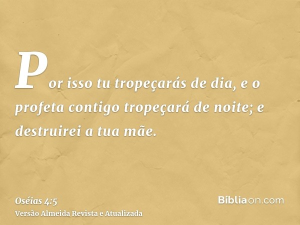 Por isso tu tropeçarás de dia, e o profeta contigo tropeçará de noite; e destruirei a tua mãe.